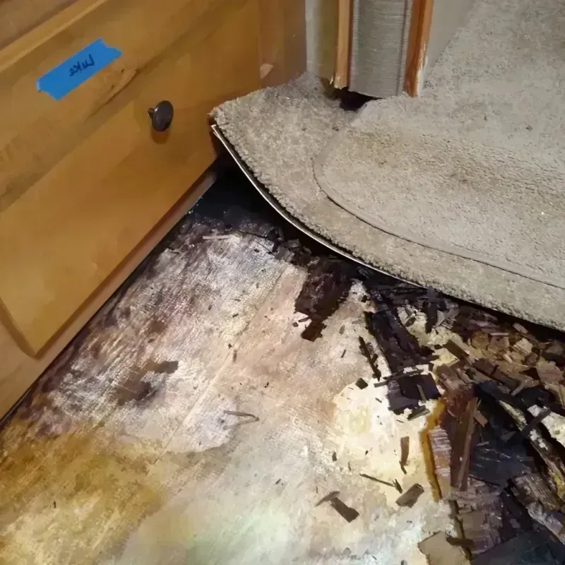 Best Wood Floor Water Damage Service in South Belmar, NJ